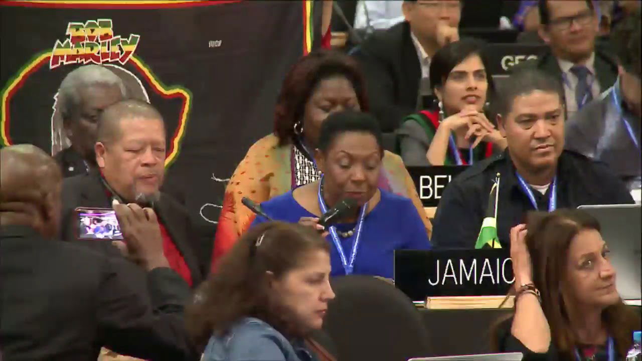 Mention to Rototom Sunsplash at Unesco session - Reggae music global cultural heritage